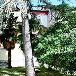 Hostel Amfora