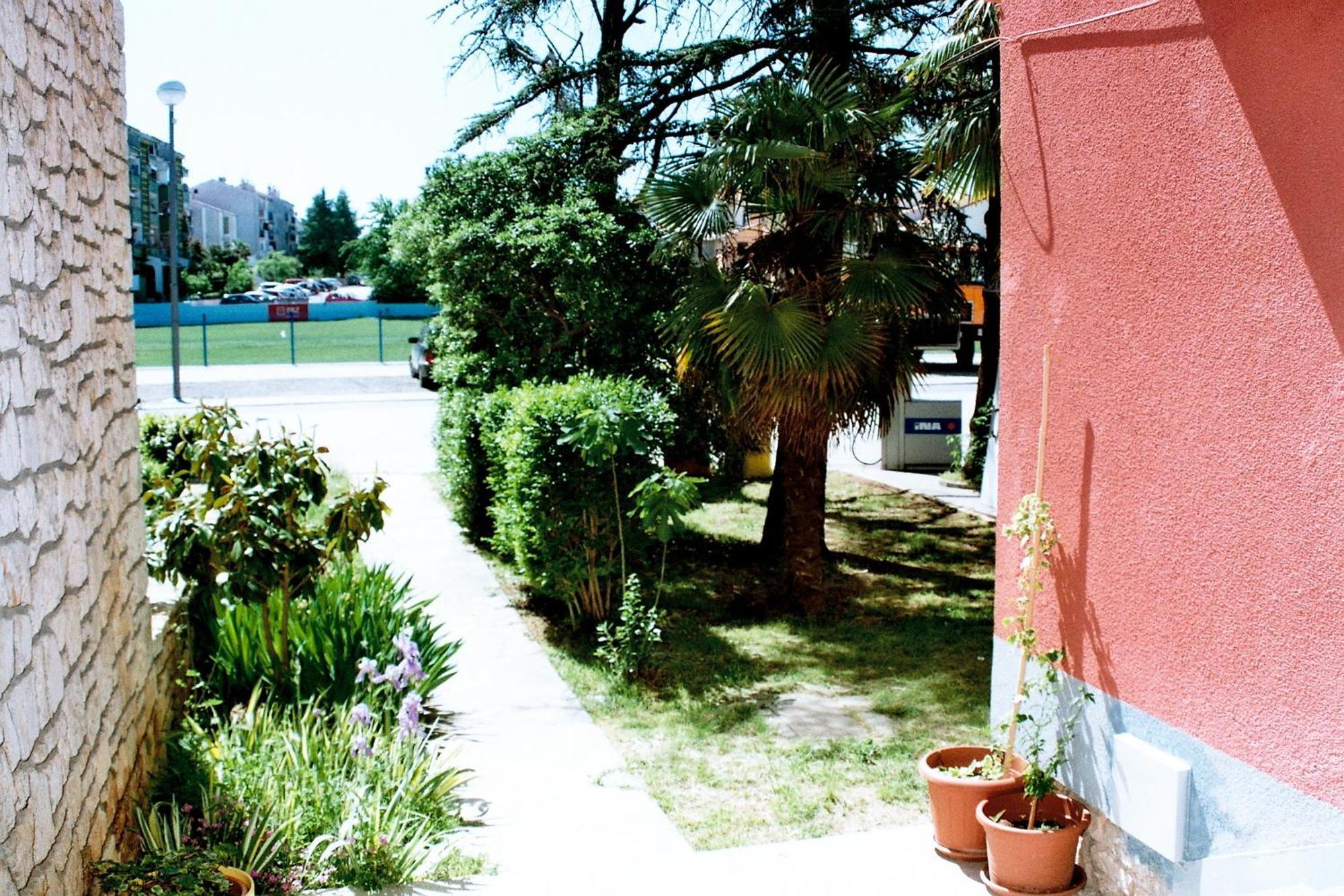 Amfora Fazana