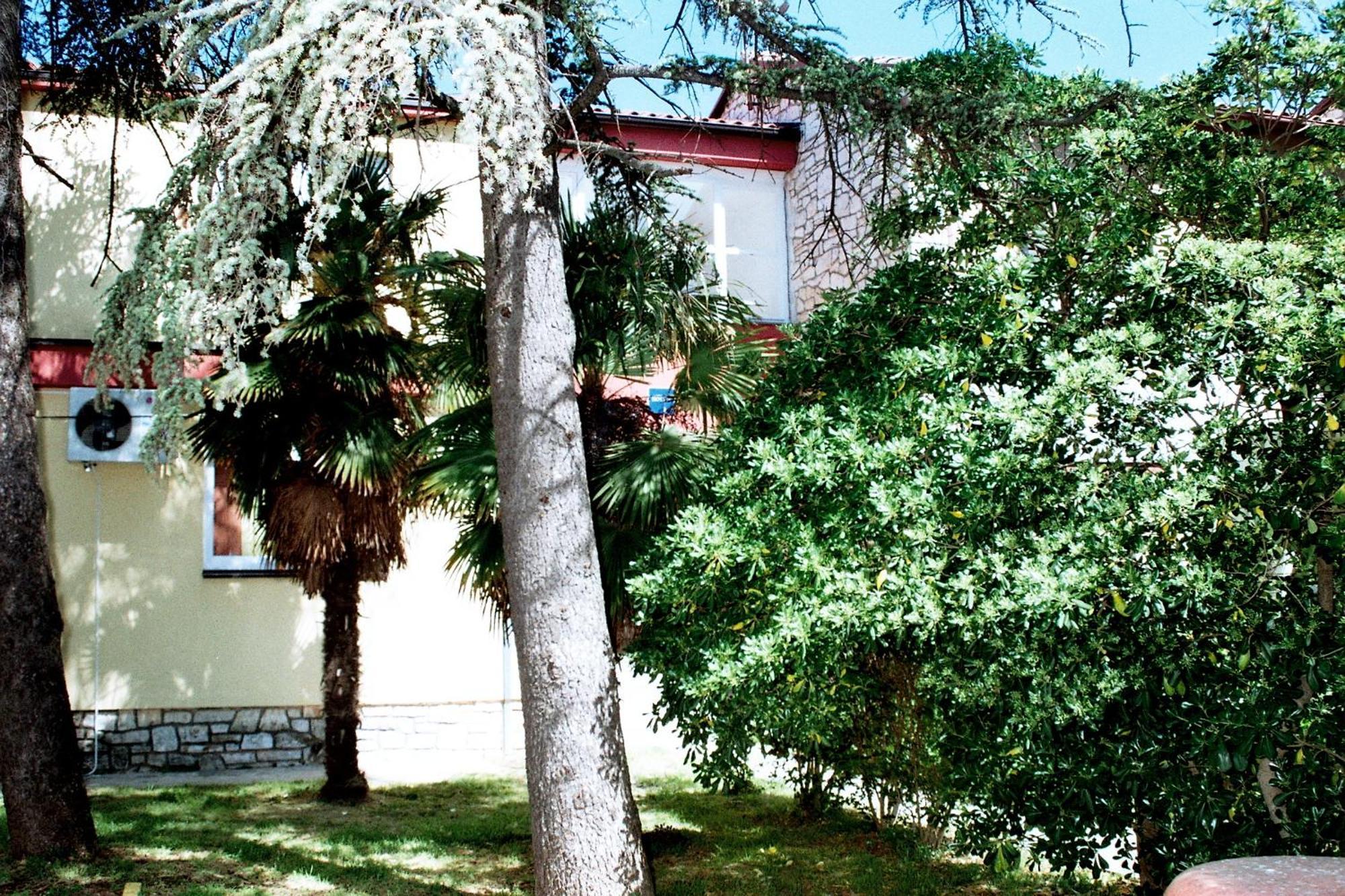 Hostel Amfora *